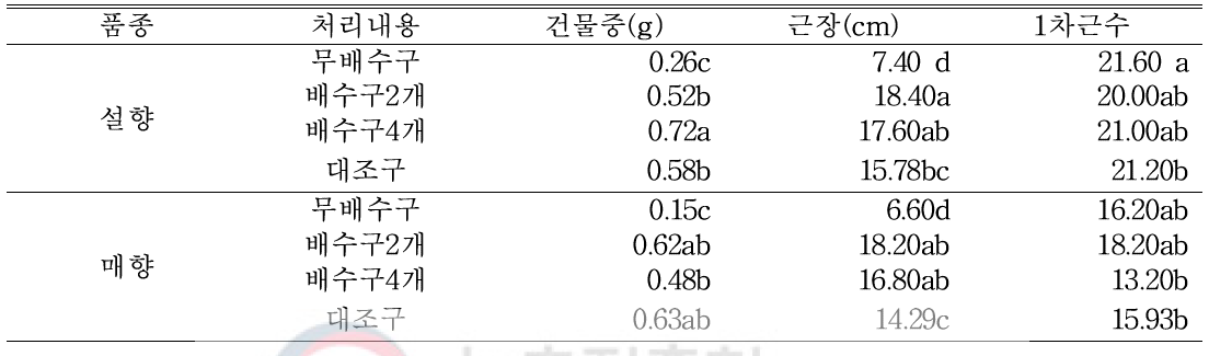 9월 25일(자묘 유인 5주 후) 처리별 근권부 생육 조사 (생분해성 종이포트)