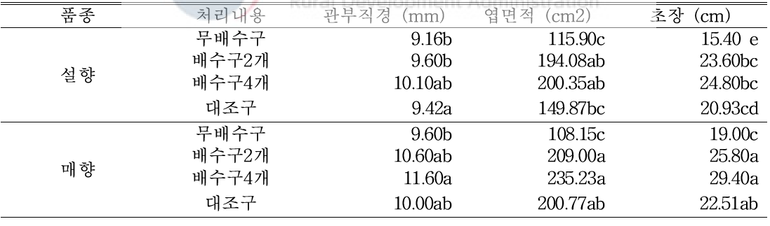 9월 25일(자묘 유인 5주 후) 처리별 지상부 생육 조사 (딸기전용상토)