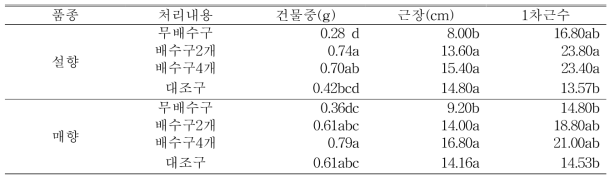 9월 25일(자묘 유인 5주 후) 처리별 근권부 생육 조사 (딸기전용상토)