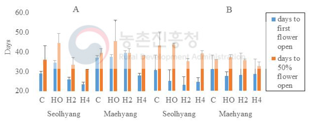 배수구 조절에 따른 조기 화아분화율 A: 딸기전용상토, B: 종이포트