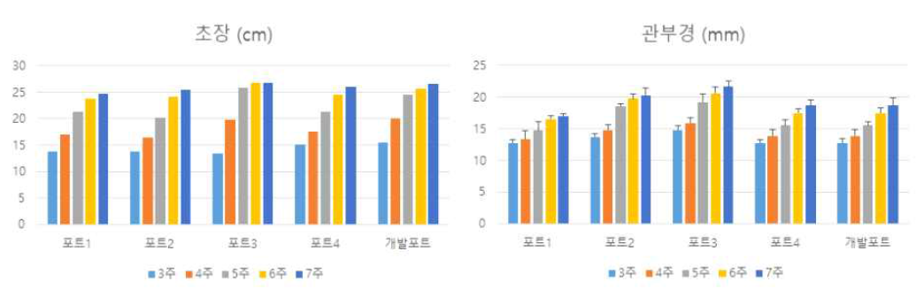 개발된 육묘포트와 상용 육묘포트의 정식 후 생육비교