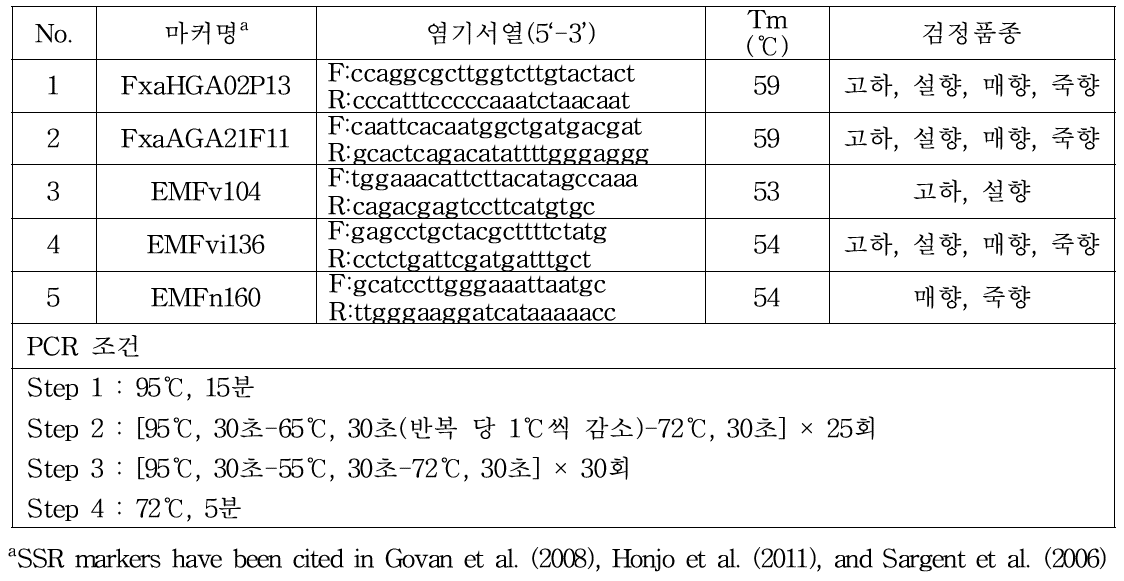 딸기 유전적 변이검정용 SSR 마커 및 PCR 조건