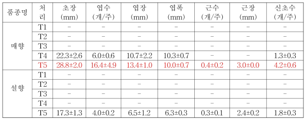 배지 내 질소질 종류 및 농도에 따른 기내 생육특성(배양 6주 후)