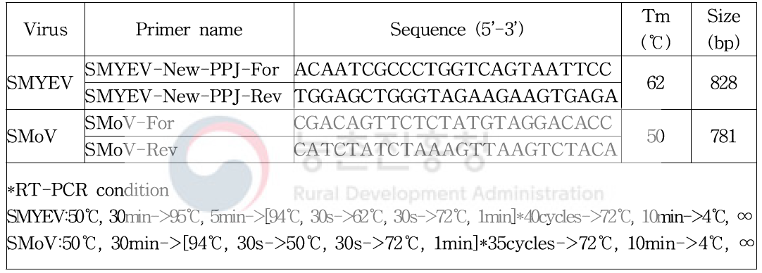 딸기 바이러스 검정용 프라이머 염기서열 및 RT-PCR 조건