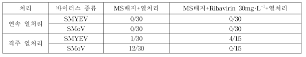 열처리 방법에 따른 조직배양묘 생존주수