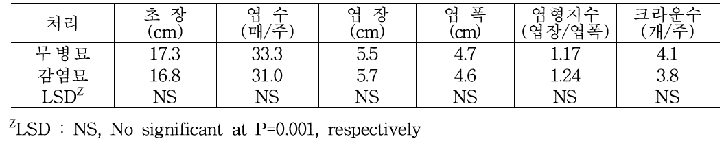 SMYEV 생산력 검정묘의 생육특성(정식 24주 후)