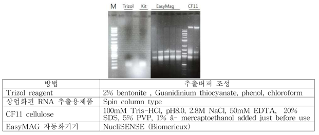 다양한 방법에 의해 추출한 핵산의 결과 비교(2017)
