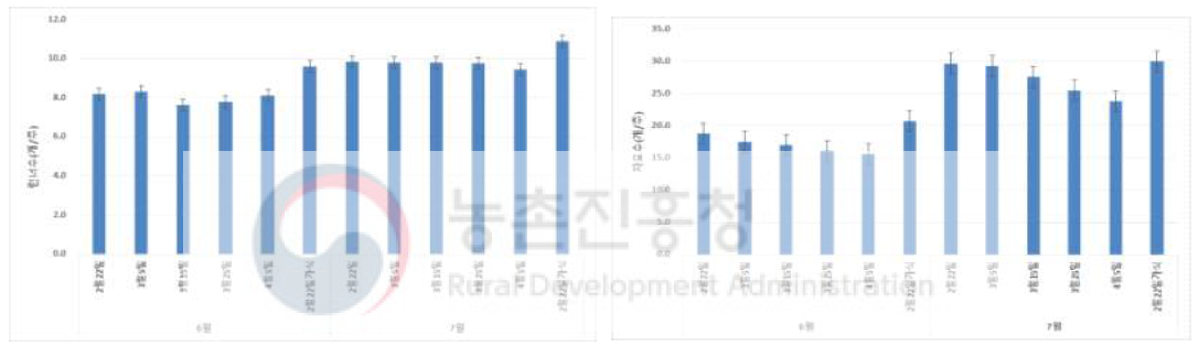 냉동 저장 모주의 무가식 정식 시기별 런너 및 자묘 발생수