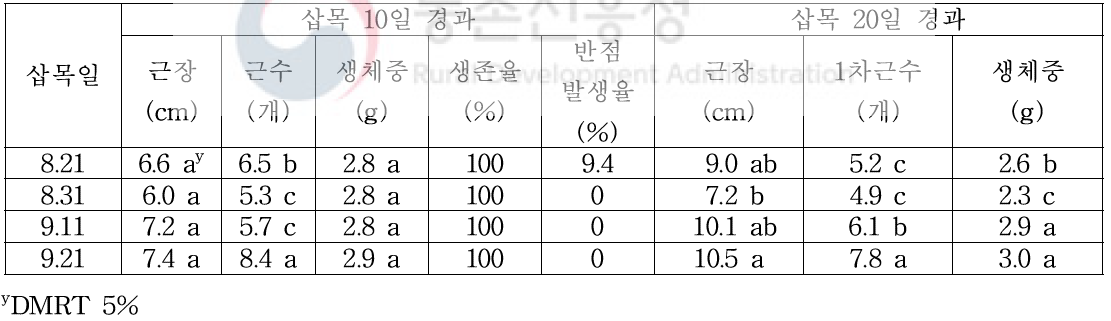 모주용 자묘 생산을 위한 삽목시기별 뿌리 발달 속도