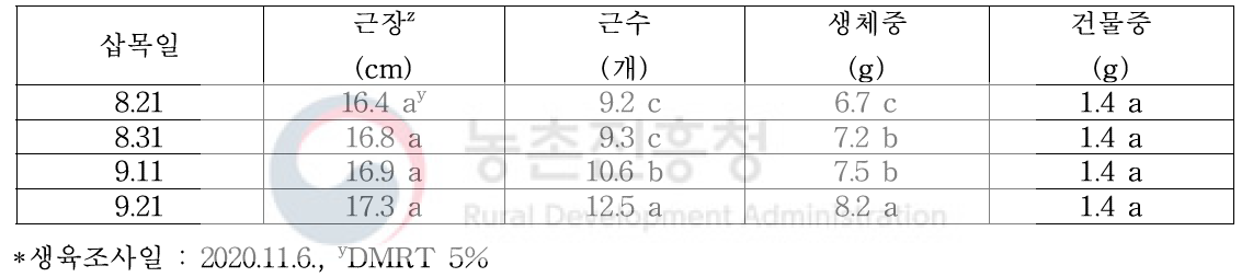 모주용 자묘 완성시기 삽목묘의 지하부 묘소질