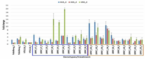 팔달콩, NTS1116, 팔달콩×NTS1116 RIL 저항성(청색) 및 감수성(주황색) 선발 계통에 대한 습해(F) 처리/무처리(C) 시험구 qRT-PCR 분석에 의한 후보 유전자 발현량 비교