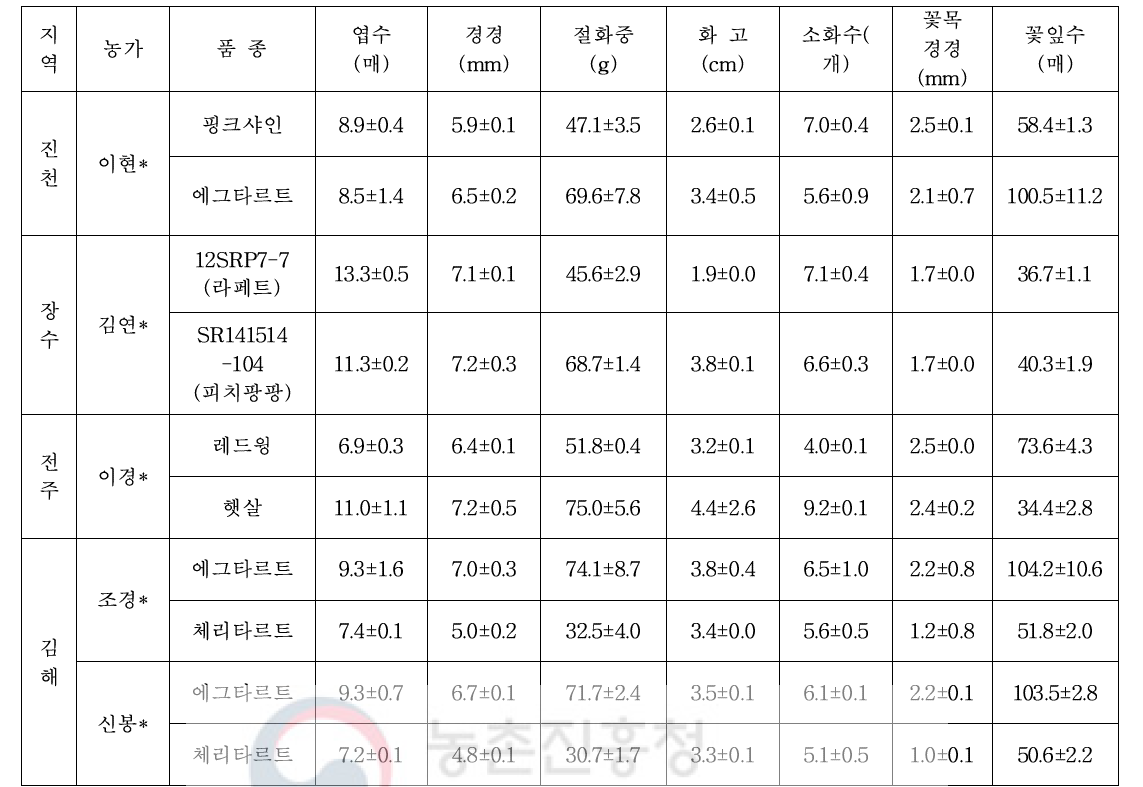 스프레이 품종 농가별 절화 특성조사(조사일 : 10월 18일)