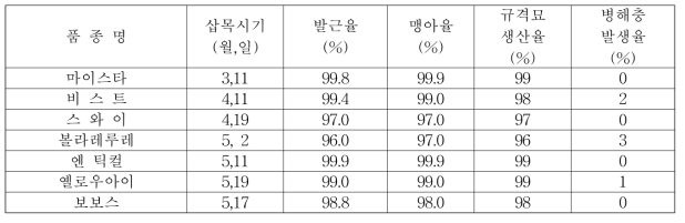 2019년 국내 육성 품종 규격묘 생산율