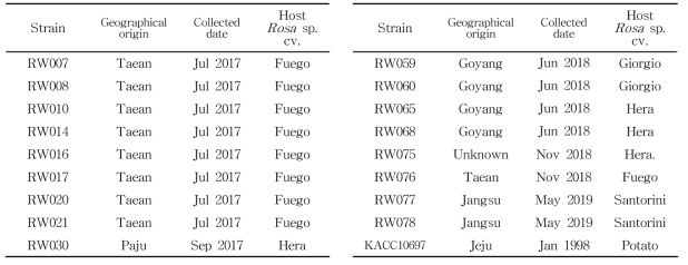 Ralstonia solanacearum and R. pseudosolanacearum strains used in this study