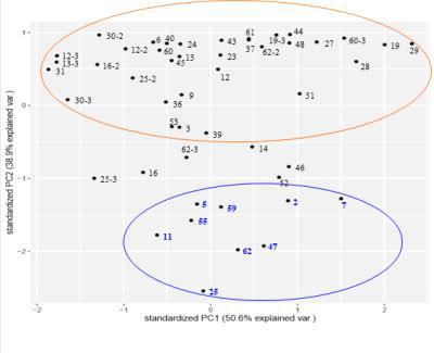 Principal component analysis of the first and the last day of a tumor formation and tumor formation rate in different rose cultivars after inoculation of A. tumefaciens strain RC12. 2, '12-376'; 3, '13-251'; 5, 'G12-46'; 6, 'G13-194'; 7, 'G13-335'; 9, 'Green Beauty'; 11, 'Deep Silver'; 12, 12-2 and 12-3, 'Deep Purple'; 13 and 13-3, 'Rock Fire'; 14, 'Love Letter'; 16 and 16-2, 'Redbi'; 19 and 19-3, 'Red Pocket'; 23, 'Mystic Blue'; 24, 'Violetta'; 25, 25-2 and 25-3, 'Bobos'; 27, 'Blondy'; 28, 'Beast'; 29, 'Sharbet'; 30-2 and 30-3, 'Show Girl'; 31, 'Show Flow'; 36, 'Ice Bear'; 37, 'Ice Wing'; 39, 'Antique Curl'; 40, 'Yellow Sun'; 43, 'Orange Eye'; 44, 'Ocean Song'; 45, 'Wedding March'; 46, 'Wedding Cake'; 47, 'Jinii'; 48, 'Candy Party'; 51, 'Peach Valley'; 52, 'Feel Lip'; 53, 'Pink Baby'; 55, 'Pink Shine'; 59, 'Pink Pop'; 60 and 60-3, 'Pink Heart'; 61, 'Henney Leon'; 62, 62-2 and 62-3, 'White Beauty'