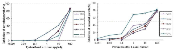 Pyrimethanil 함유 PDA 배지(왼쪽)와 FGA 배지(오른쪽)에서의 농도(0, 0.001, 0.01 0.1, 1.0, 10.0, and 100.0 a.i. ìg ml-1)에 따른 5개 Botrytis cinerea 균주의 균사생장 억제효과