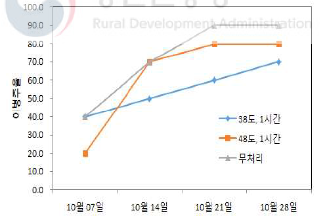 잠재감염주 열처리에 의한 탄저병 이병주율