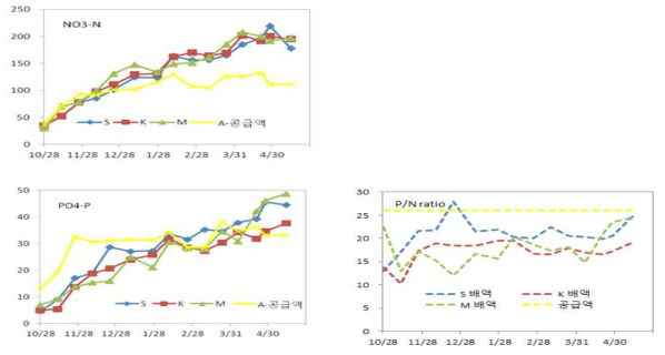 품종별 공급액과 배액의 농도 변화(S 설향, K 금실, M 매향)