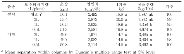 본포 정식 후 생육과 수량(재배방법 : 토양재배)