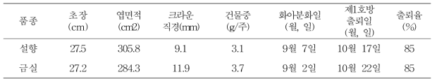 품종별 묘소질 및 화아분화 반응(현지농가)