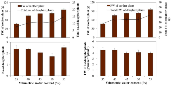 Influence of fertigation set point as volumetric water contents in cocopeat substrate on the growth of daughter plants 15 weeks after transplanting of ‘Sulhyang’ strawberry mother plants