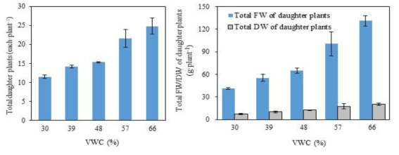 Influence of controlling of the VWC in peat moss + perlite substrates (7:3, v/v) on the occurrences (left figure) and growths (right figure) of daughter plants in individual mother plant 110 days after transplanting of ‘Sulhyang’ strawberry mother plants. Values represent the mean ± SE (n=3)