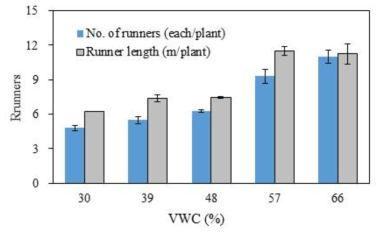 Influence of controlling of the VWC in peat moss + perlite substrates (7:3, v/v) on the occurrences and growths of runners in individual mother plant 110 days after transplanting of ‘Sulhyang’ strawberry mother plants. Values represent the mean ± SE (n=3)
