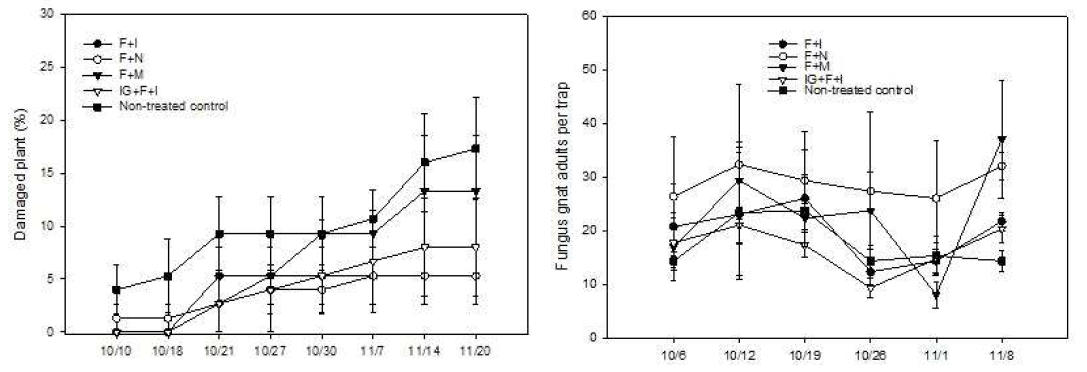 시들음병과 작은뿌리파리 피해주율(위)과 작은뿌리파리 성충 밀도(아래). F : (플룩사 피록사드+필라클로스트로빈), I : (아세타미프리드+디플루벤주론), N : 곤충병원성선충), M : 마일즈응애, IG : (테프루트린+티오메톡삼)
