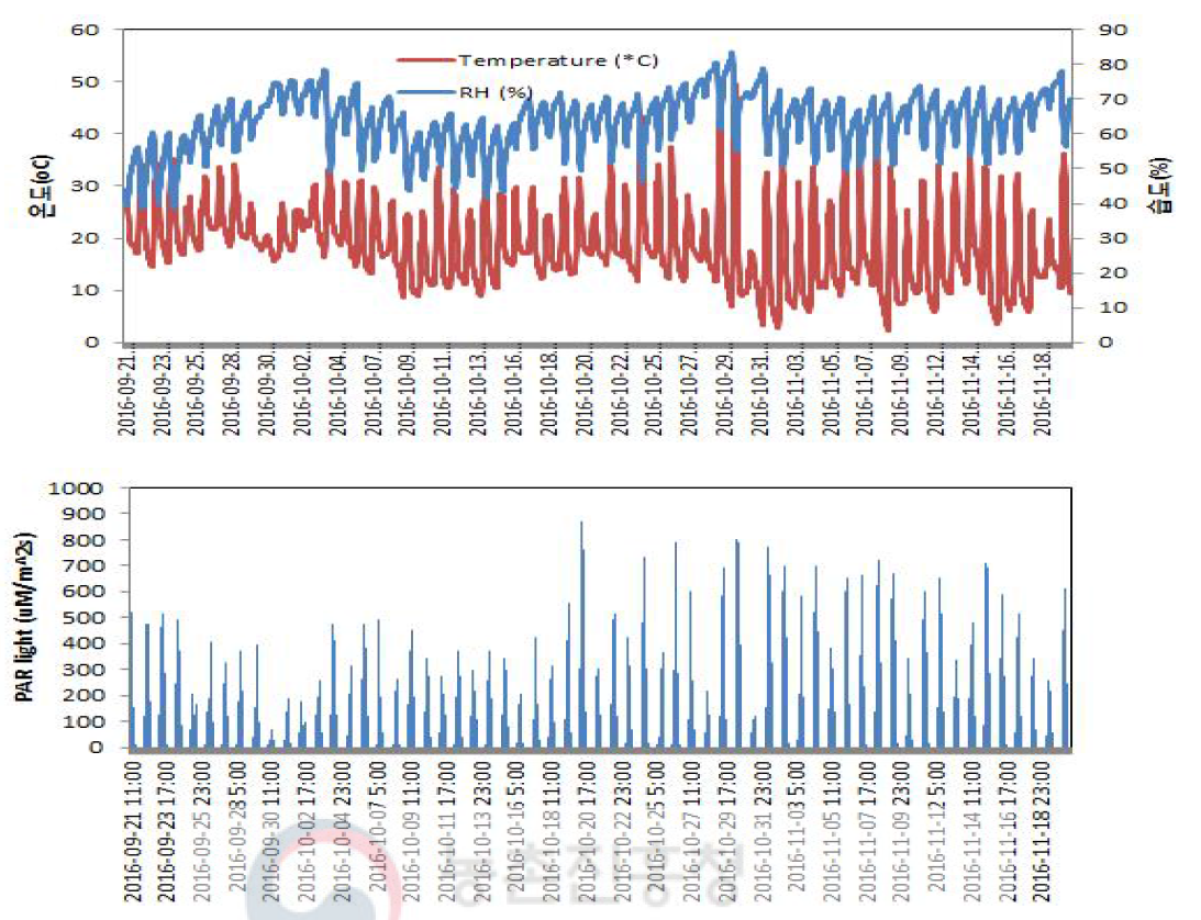 시험재배 포장의 온도와 습도(위) 및 광량(아래)