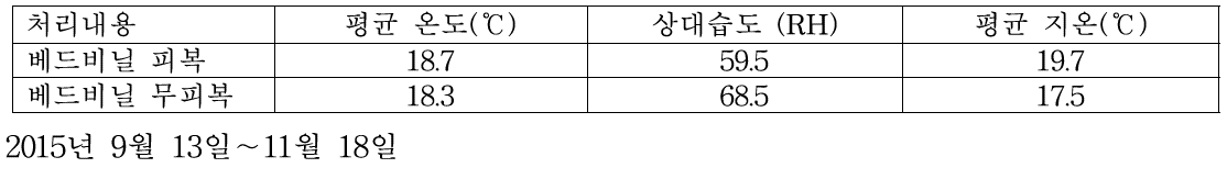 딸기 정식 후 베드비닐 피복 유무에 따른 기상환경