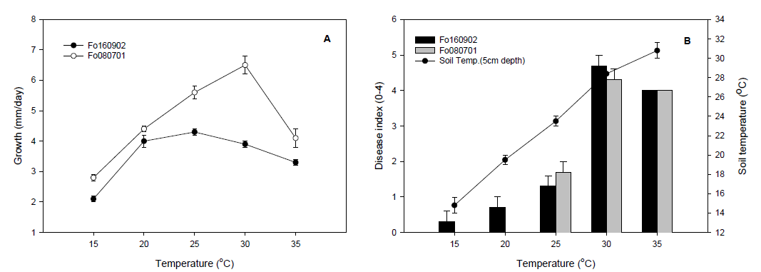 딸기 시들음병균의 온도별 균사생장율(A)과 이병지수(B)