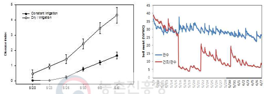 관수방법에 따른 딸기 시들음병 발생 및 수분함량