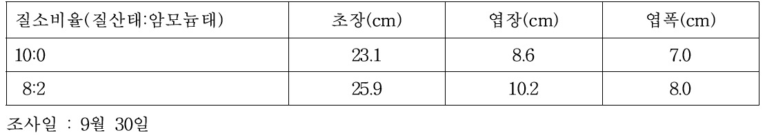 질산태질소와 암모늄태질소 비율별 처리에 따른 식물체 생육