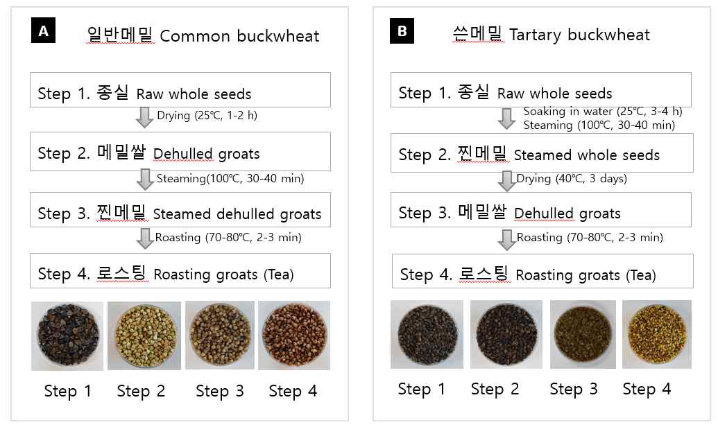 일반메밀과 쓴메밀 가공단계별 루틴함량 비교