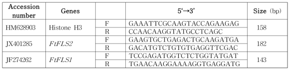 FLS 유전자 발현량 분석을 위한 프라이머 세트