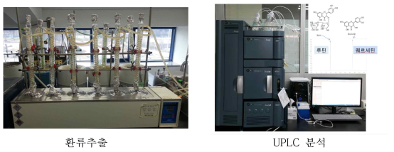 쓴메밀 환류추출과 UPLC 분석