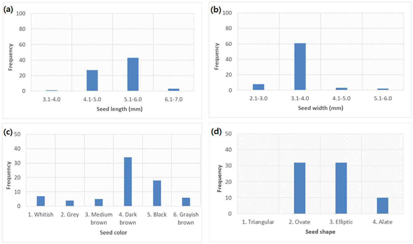 쓴메밀 유전자원에서 종자길이(a) 종자넓이(b) 종자색(c) 종자모양(d)의 도수분포