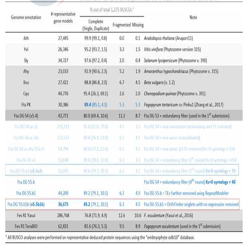 쓴메밀 표준유전체 개선을 위한 유전자 수 및 BUSCO 함량