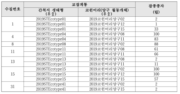 이탈리안 라이그라스(IRG) 내염성 생태형 영양계통과 코윈어리(양구 선발) 간 잡종 종자 생산