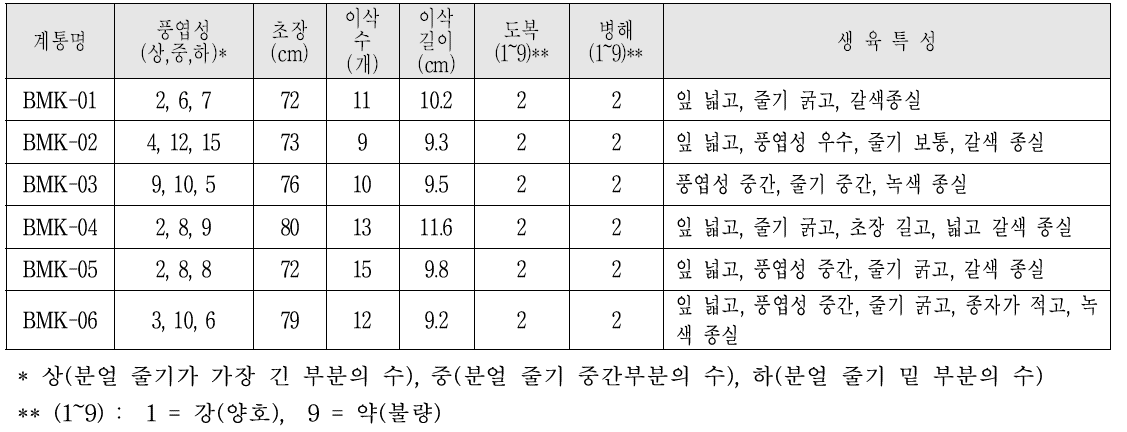 사료용 피 우량계통의 생육특성(2019)