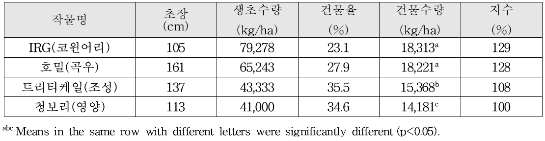 동계사료작물의 초장 및 수량성(2020)