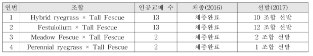 인공교배 조합 및 수(2016~2017)