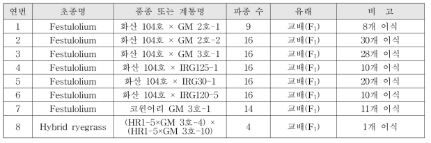 국내개발 품종간의 인공교배에서 나온 종자 파종(2018)