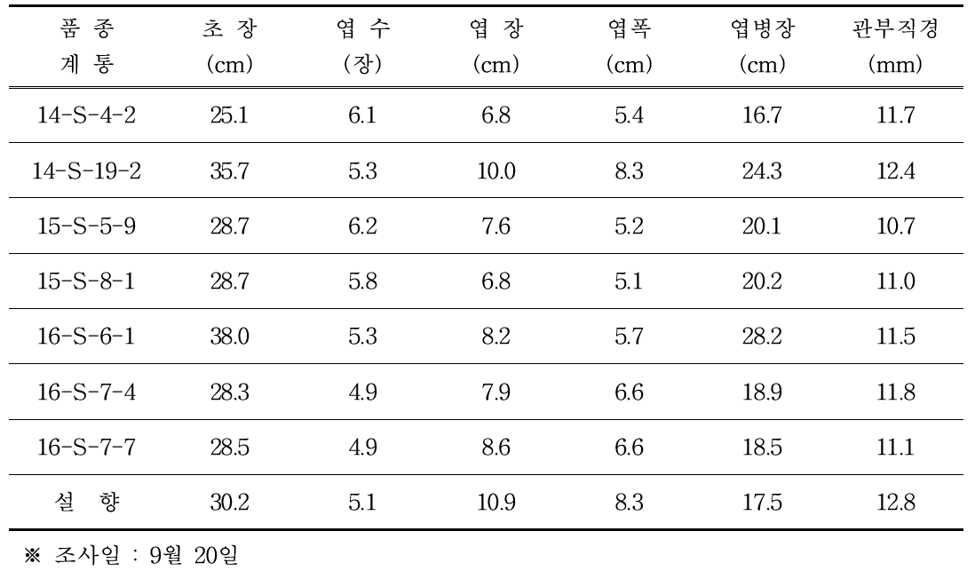 성주 시험포(성주 농가) 생육특성