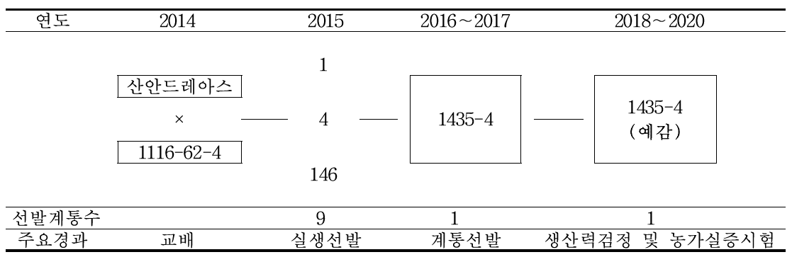 ‘예감’ 육성계통도