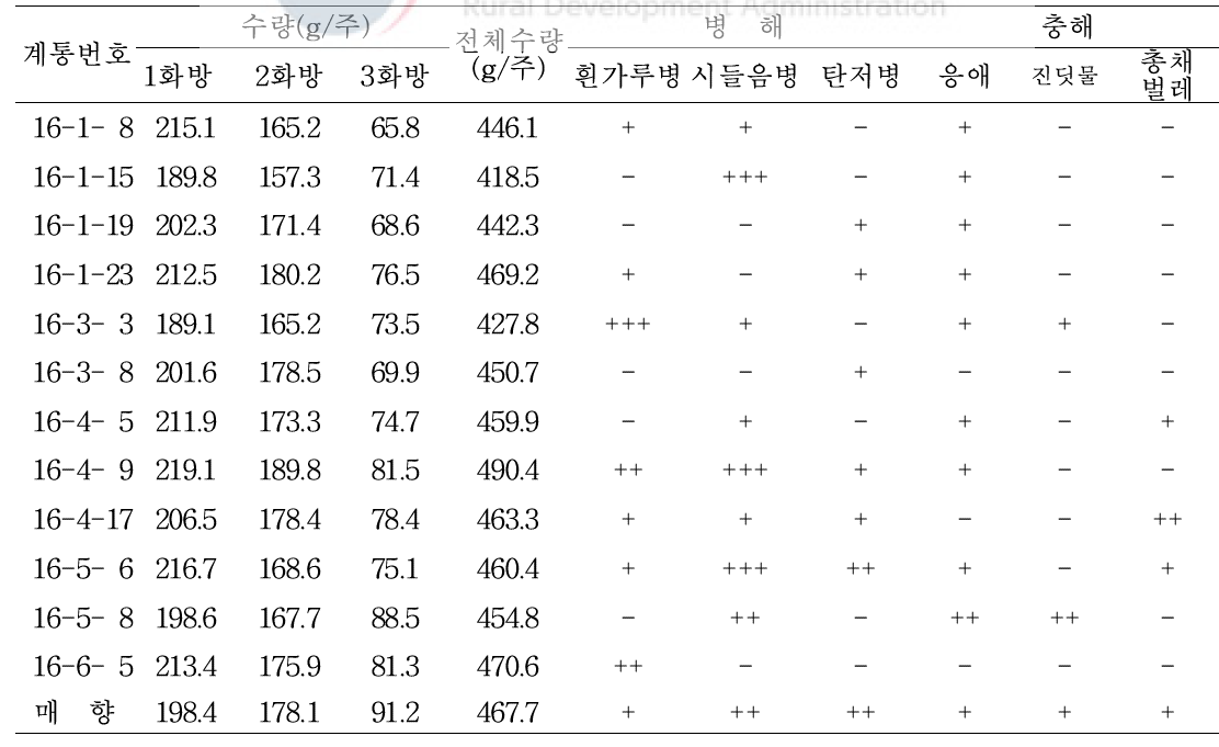 선발 16번 계통의 과실 수량 및 병충해 특성 조사