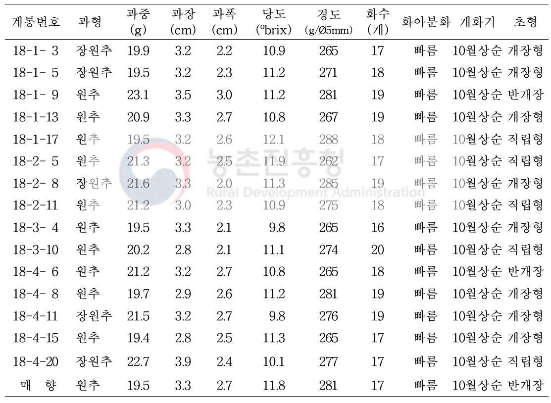 선발 18번 계통의 과실 특성, 화아분화, 개화기 및 초형 특성