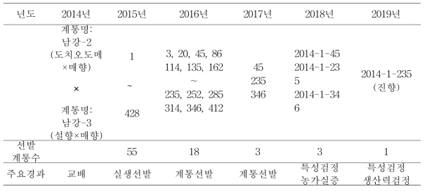 ‘진향’ 육성과정 계통도