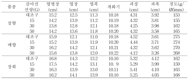 딸기 런너 감마선 처리에 의한 식물체 및 과실 특성