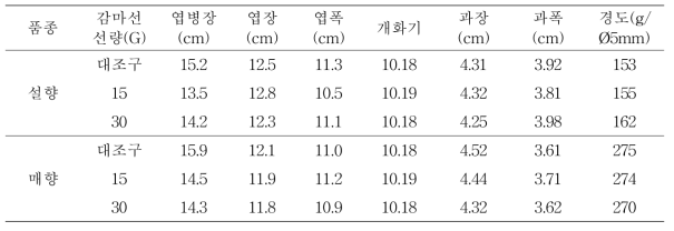 기내 유식물체 감마선 처리에 의한 식물체 및 과실 특성